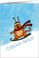 Romanian - Snowboard cat Christmas card