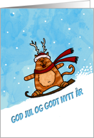 Snowboard Cat Norwegian Christmas Wish card