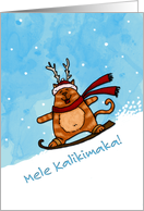 Hawaiian - Snowboard cat Christmas card