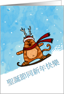 Chinese - Snowboard cat Christmas card