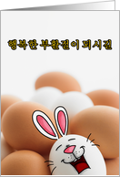 Korean - Easter Egg Bunny card