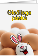 Icelandic - Easter Egg Bunny card