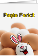 Romanian - Easter Egg Bunny card