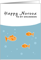 Happy Norooz - to my grandson card