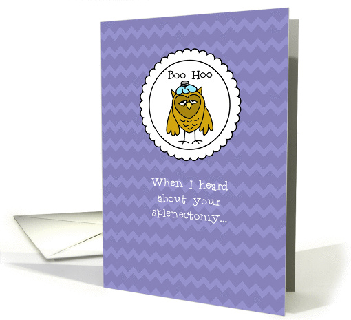 Splenectomy - Owl - Get Well card (845903)