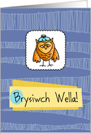 Brysiwch Wella - owl - Get well in Welsh card