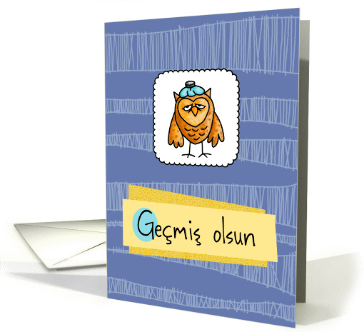 Gemiş olsun - owl - Get well in Turkish card (846972)