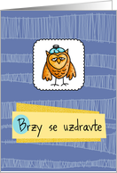 Brzy se uzdravte - owl - Get well in Czech card