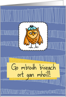 Go mbodh biseach ort gan mhoill! - owl - Get well in Irish Gaelic card