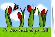 Go mbodh biseach ort gan mhoill! - tulips - Get well in Irish Gaelic card