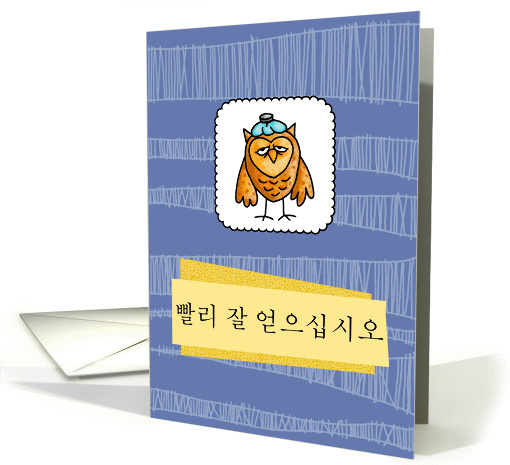   ʽÿ - owl - Get well in Korean card (847811)