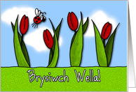 Brysiwch Wella - tulips - Get well in Welsh card