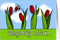 Gemiş olsun - tulips - Get well in Turkish card