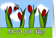 Krya på dig - tulips...