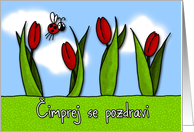Čimprej se pozdravi - tulips - Get well in Slovenian card