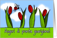 Auguri di pronta guarigione! - tulips - Get well in Italian card