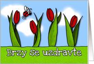 Brzy se uzdravte - tulips - Get well in Czech card