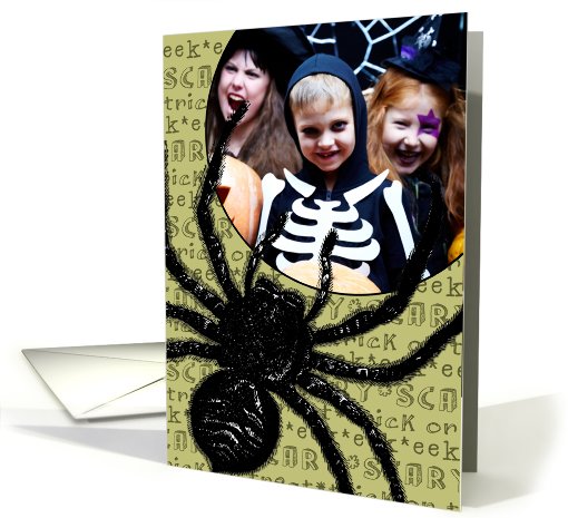Happy Halloween Spider - Customized Photo card (861468)
