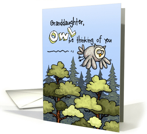 Granddaughter - Thinking of you at summer camp - Owl card (934878)