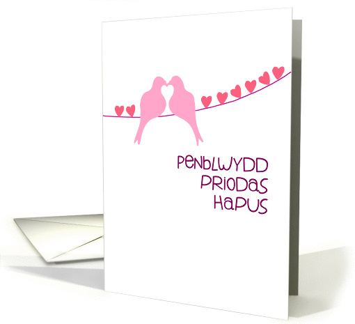 Welsh - Happy Anniversary - Turtledoves card (944294)