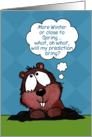 Groundhog Day Groundhog Thinks about Prediction card