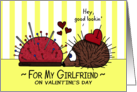 Valentine’s Day for Girlfriend Porcupine Hedgehog and Pin Cushion Love card