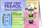 Customizable First Passover/Pesach for Granddaughter-Little Lamb card