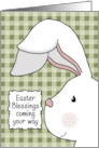 Happy Easter Bunny Blessings card