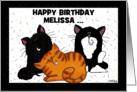 Three Shedding Cats Customizable Name Happy Birthday to Melissa card