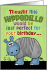 Happy Birthday-Hippodillo-Humorous Imaginary Animal card