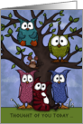 Happy Birthday from Group Thought of You Owls and Tree card