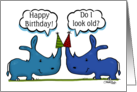 Happy Birthday Rhino Humor Rhinos with Party Hats card