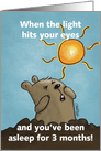 Humorous Happy Groundhog Day Groundhog Squints at the Sun card