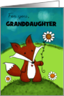 Customized Birthday for Granddaughter A Little Love Fox with Daisy card