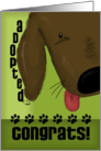 Congratulations on Adopting a Dog Happy Dog and Paw Prints card