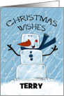 Christmas Wishes for Terry Customizable Name Ice Cube Man card