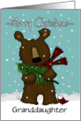 Customizable Granddaughter Bear with Pine Tree Merry Christmas card
