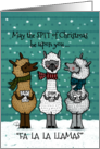 Humorous Merry Christmas Funny Singing Spitting Llamas card