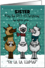 Humorous Merry Christmas for Sister Funny Singing Spitting Llamas Custom card