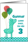 Customizable Happy 3rd Birthday Gunnar Aqua Llama and Balloons card