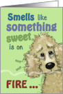 Cocker Spaniel Smells Burning Cake Getting Older Birthday Humor card