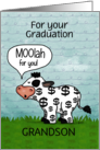 Cow with Dollar Sign Pattern Moolah for You Graduate Grandson card