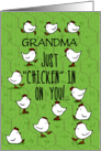 Customizable Encouragement Here For You Checking In On You Chickens card