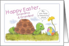 Happy Easter for Grandma and Grandpa Turtle Admires Easter Egg card