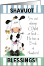 Shavuot Blessings COWnt on God Cow with Flower card