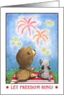 Lion and Lamb at Fireworks-4th of July Party Invitation card