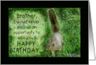 Squirrel Humorous Happy Birthday for Brother card