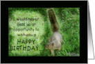 Squirrel Humorous Happy Birthday You are the Nuttiest card