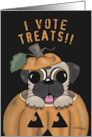 Pug in Jack o’ Lantern I Vote Treats Happy Halloween card