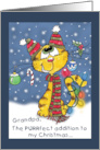 Merry Christmas for Grandpa Decorated Cat card